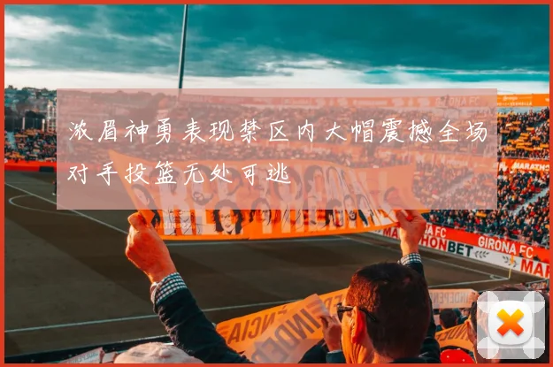 浓眉神勇表现禁区内大帽震撼全场对手投篮无处可逃